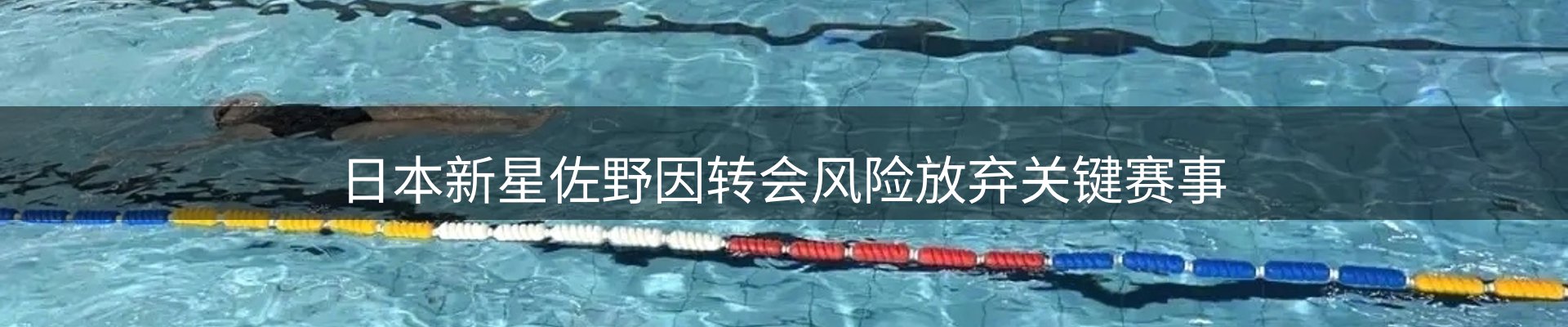 品牌资讯